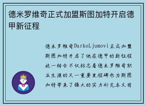 德米罗维奇正式加盟斯图加特开启德甲新征程 德米罗维奇正式加盟斯图加特开启德甲新征程
